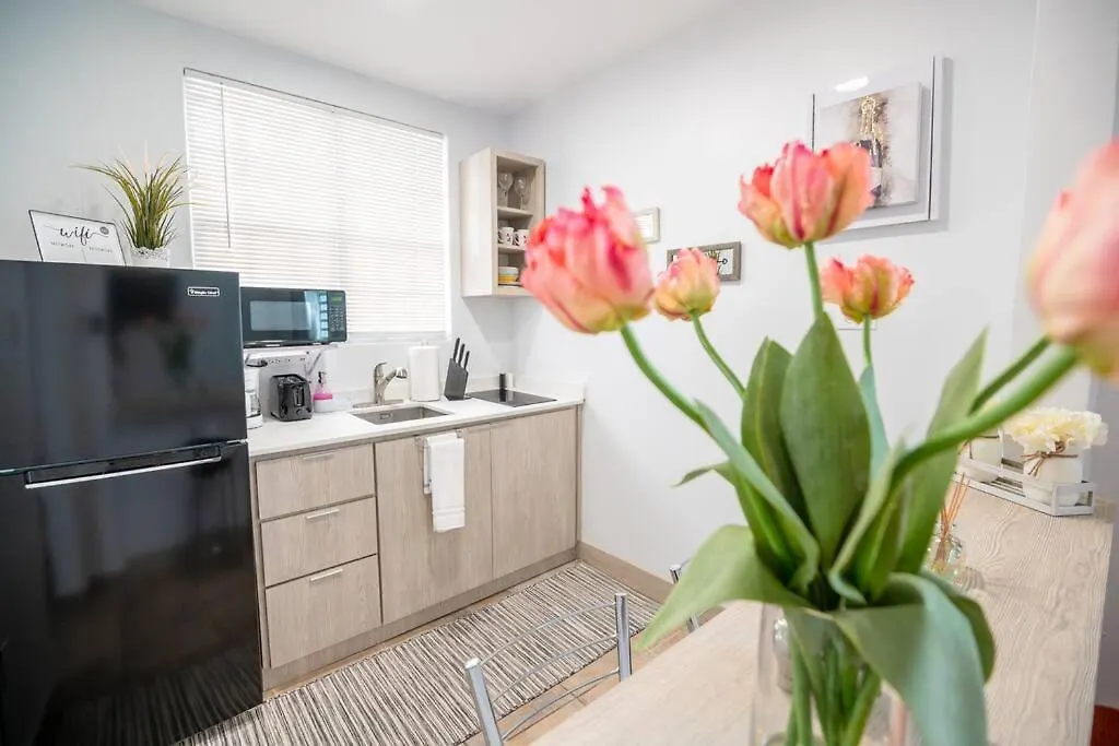 1 Santurce 1 Bedroom 1Bathroom Apt San Juan Apartment